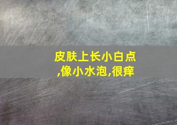 皮肤上长小白点,像小水泡,很痒