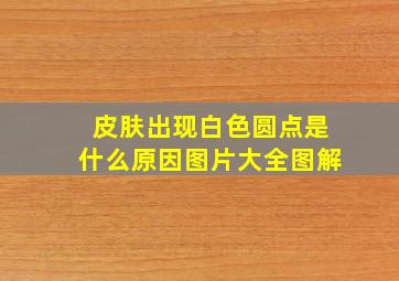 皮肤出现白色圆点是什么原因图片大全图解