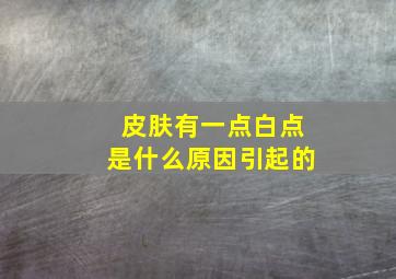 皮肤有一点白点是什么原因引起的