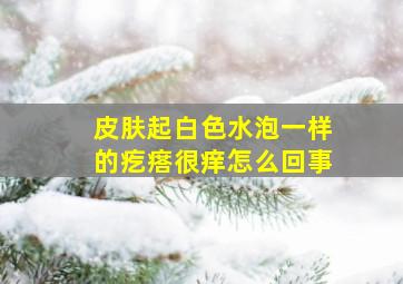 皮肤起白色水泡一样的疙瘩很痒怎么回事