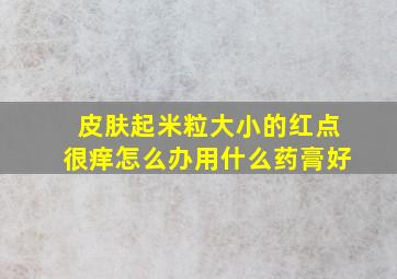 皮肤起米粒大小的红点很痒怎么办用什么药膏好