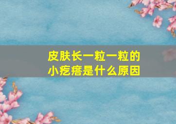 皮肤长一粒一粒的小疙瘩是什么原因