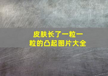 皮肤长了一粒一粒的凸起图片大全