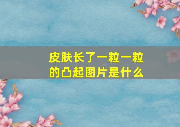 皮肤长了一粒一粒的凸起图片是什么