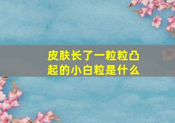 皮肤长了一粒粒凸起的小白粒是什么