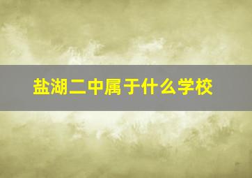 盐湖二中属于什么学校