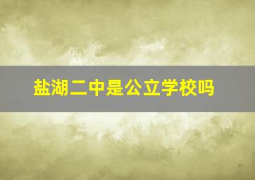 盐湖二中是公立学校吗