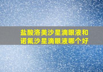 盐酸洛美沙星滴眼液和诺氟沙星滴眼液哪个好