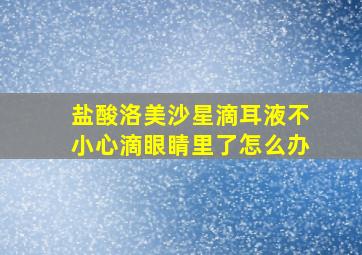 盐酸洛美沙星滴耳液不小心滴眼睛里了怎么办