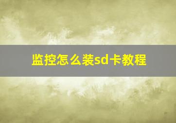 监控怎么装sd卡教程