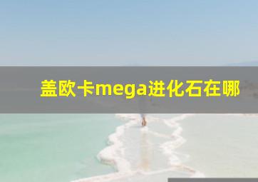 盖欧卡mega进化石在哪