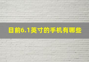 目前6.1英寸的手机有哪些