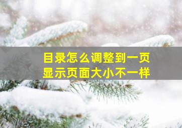 目录怎么调整到一页显示页面大小不一样