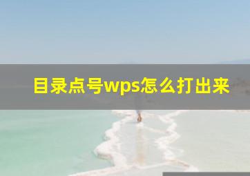 目录点号wps怎么打出来