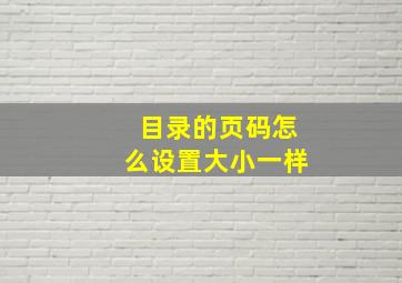 目录的页码怎么设置大小一样