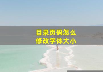 目录页码怎么修改字体大小