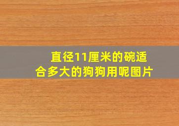 直径11厘米的碗适合多大的狗狗用呢图片