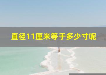 直径11厘米等于多少寸呢