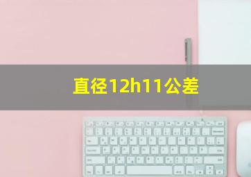 直径12h11公差