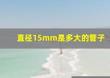 直径15mm是多大的管子