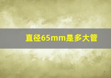 直径65mm是多大管