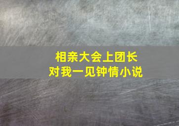 相亲大会上团长对我一见钟情小说