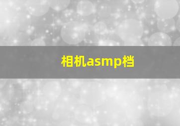 相机asmp档