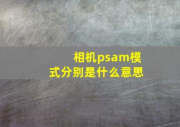 相机psam模式分别是什么意思