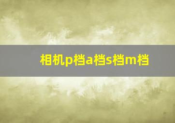 相机p档a档s档m档