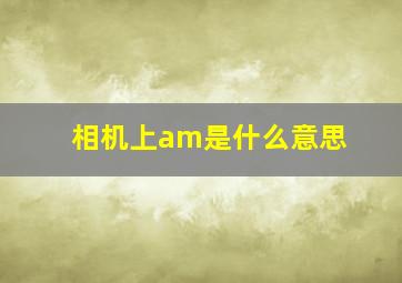 相机上am是什么意思