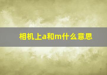 相机上a和m什么意思