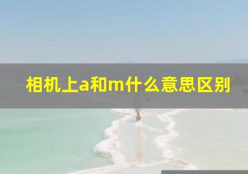 相机上a和m什么意思区别