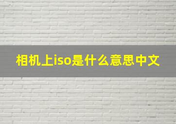 相机上iso是什么意思中文