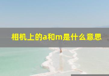 相机上的a和m是什么意思