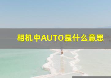 相机中AUTO是什么意思