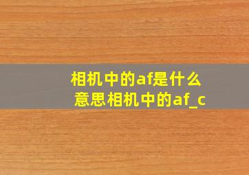 相机中的af是什么意思相机中的af_c