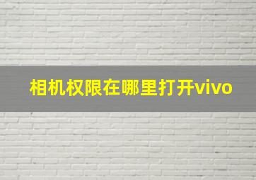 相机权限在哪里打开vivo