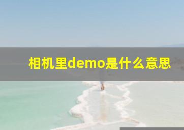 相机里demo是什么意思