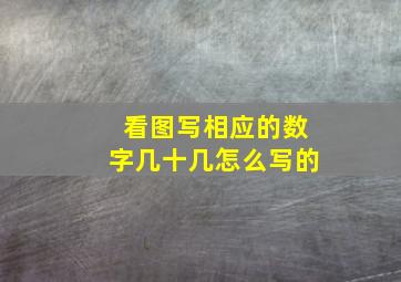 看图写相应的数字几十几怎么写的