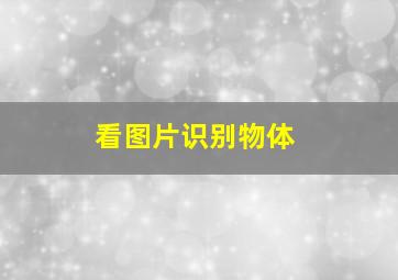 看图片识别物体