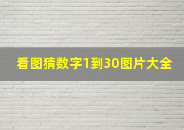 看图猜数字1到30图片大全