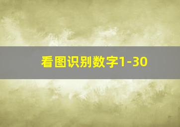 看图识别数字1-30