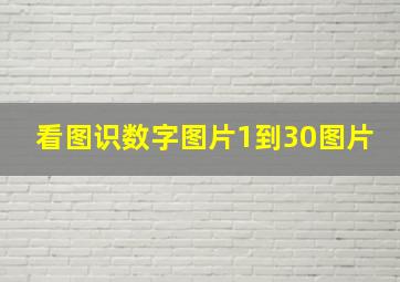 看图识数字图片1到30图片