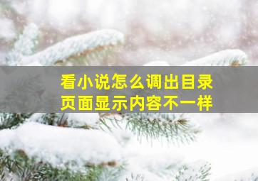 看小说怎么调出目录页面显示内容不一样