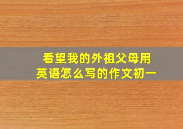 看望我的外祖父母用英语怎么写的作文初一