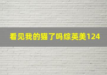 看见我的猫了吗综英美124