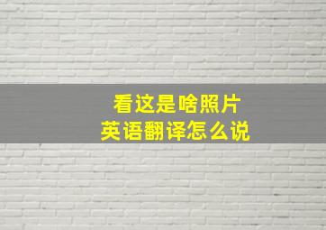 看这是啥照片英语翻译怎么说