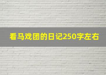 看马戏团的日记250字左右