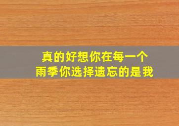 真的好想你在每一个雨季你选择遗忘的是我