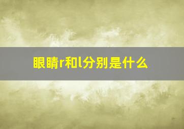 眼睛r和l分别是什么